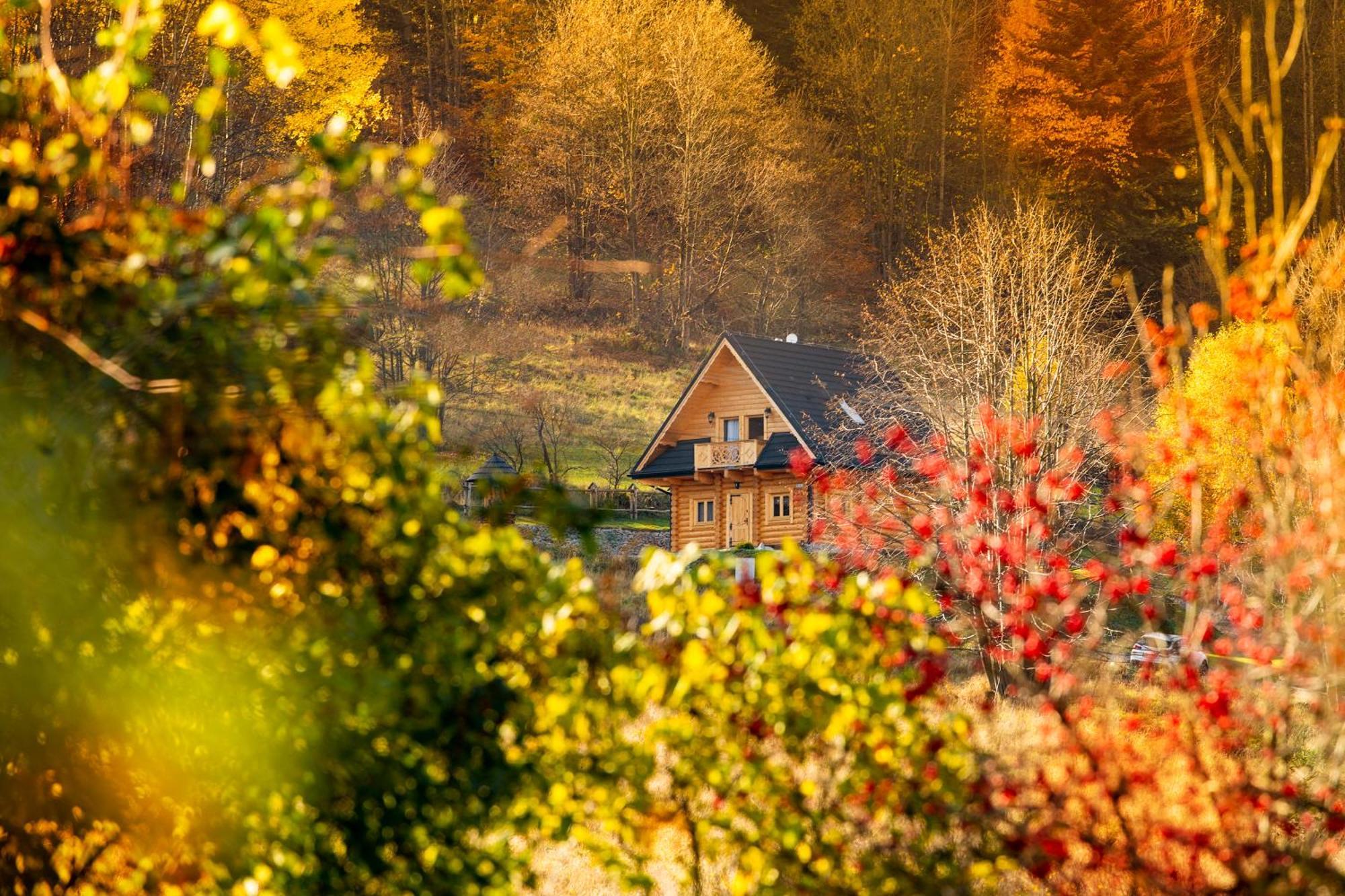 Pyrgielowka- Chata Roztoki Stryszawa Exteriér fotografie