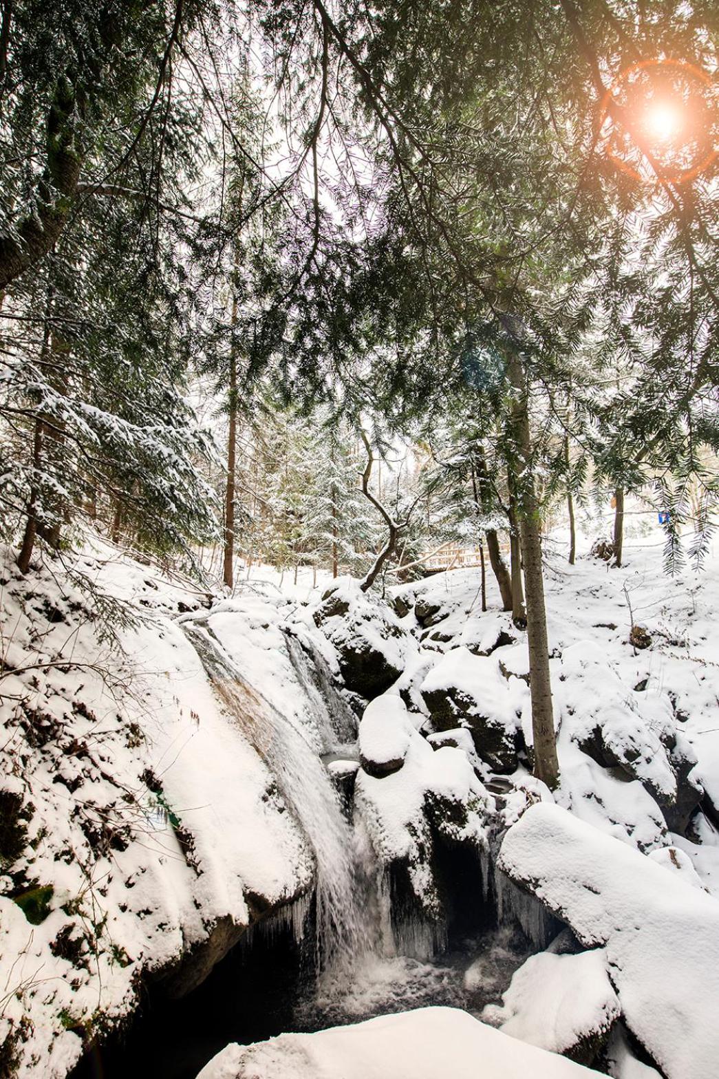 Pyrgielowka- Chata Roztoki Stryszawa Exteriér fotografie