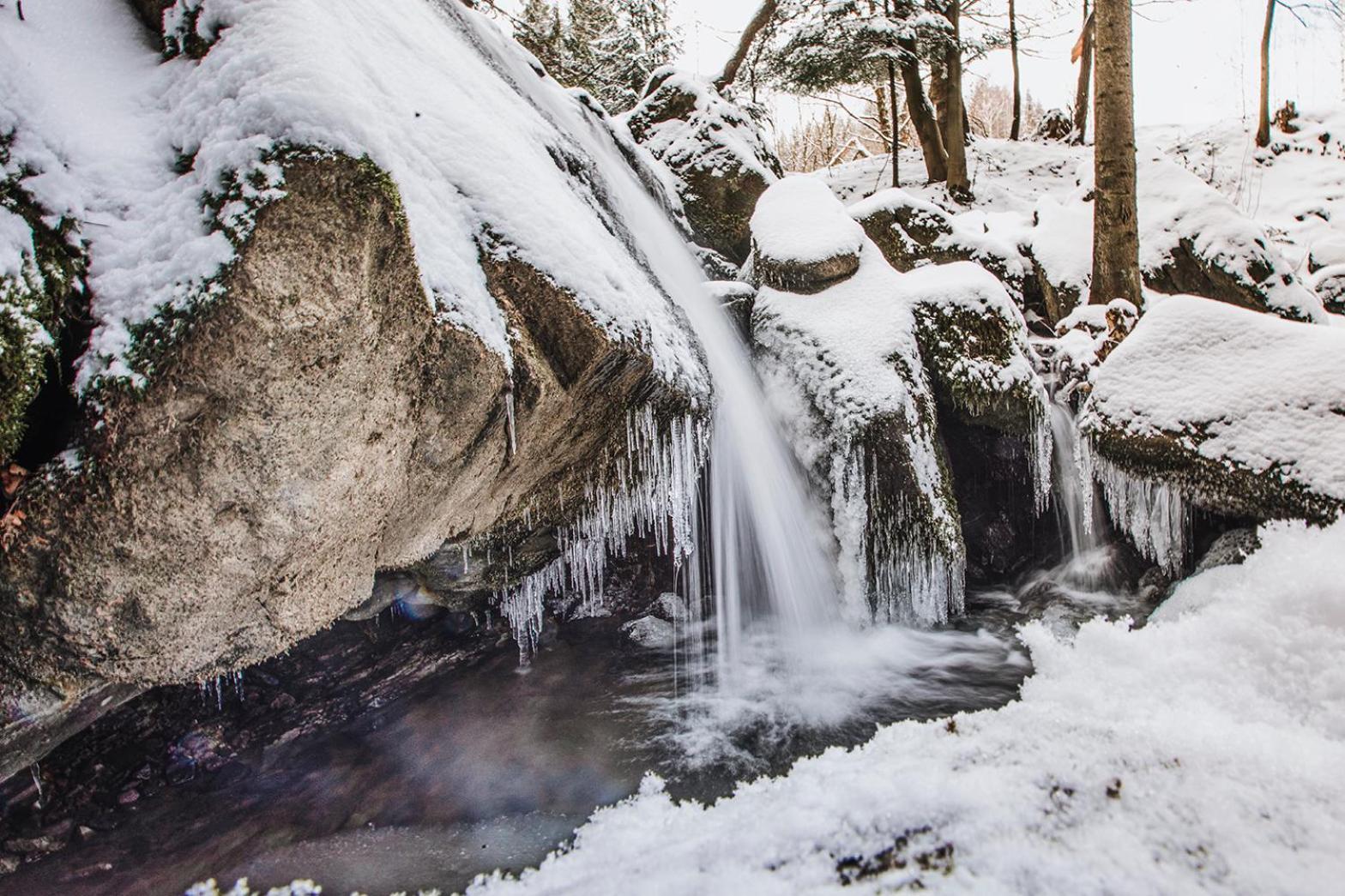 Pyrgielowka- Chata Roztoki Stryszawa Exteriér fotografie