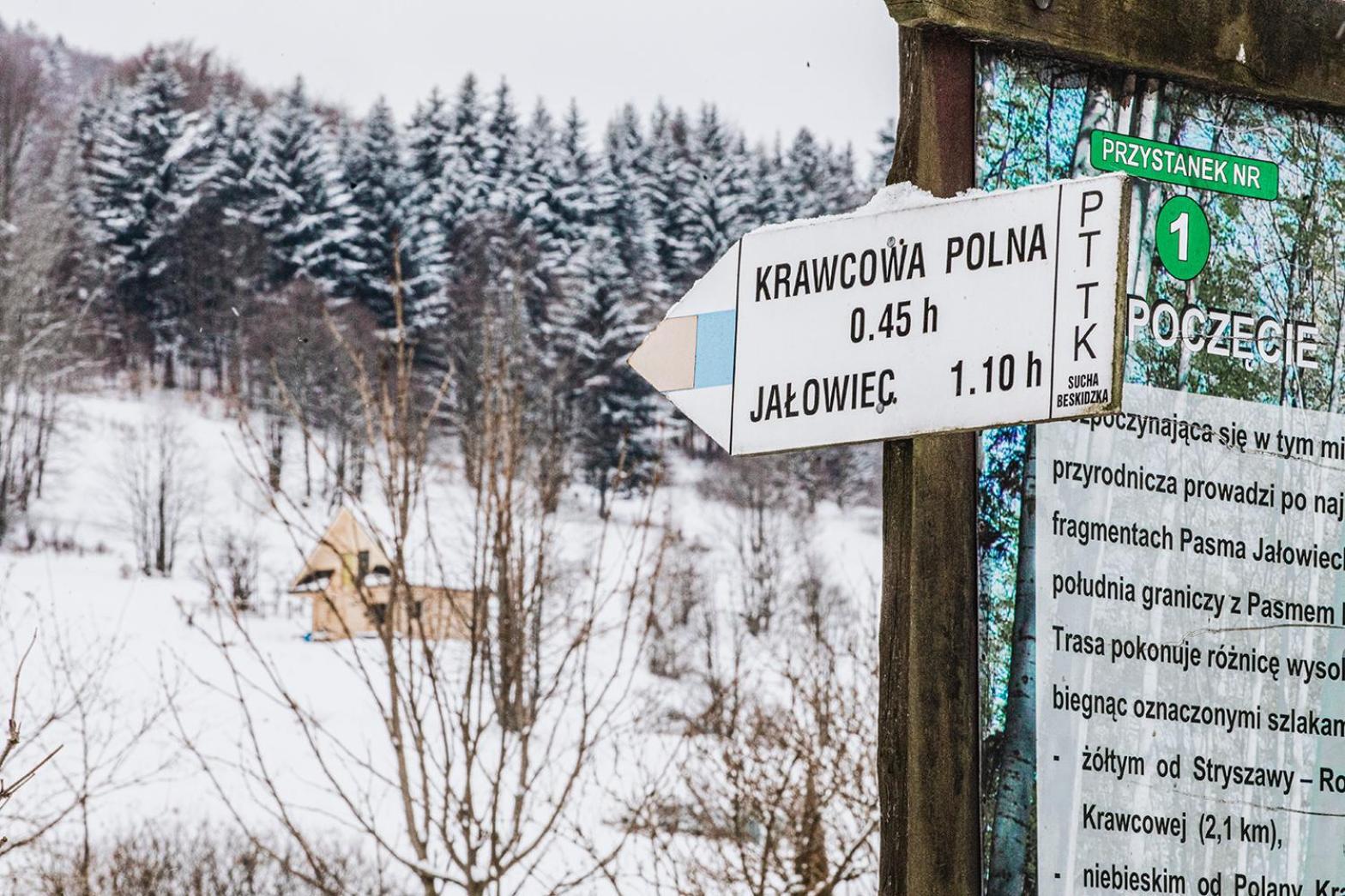 Pyrgielowka- Chata Roztoki Stryszawa Exteriér fotografie
